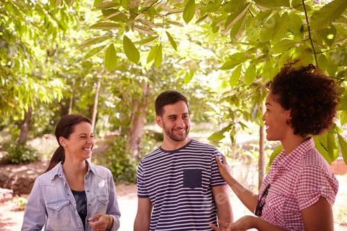Preview: Three Healthy Friends Chatting And Laughing Together In The Dappled Afternoon Sunshine With Some