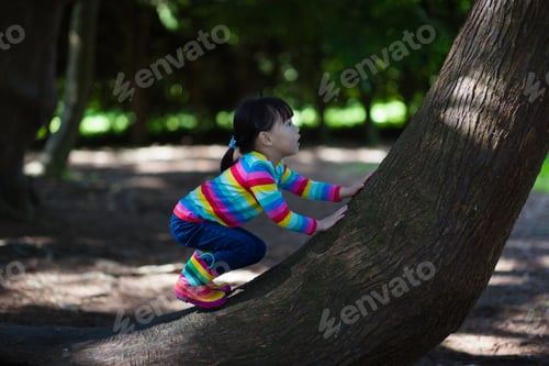 Preview: Young Girl Climbing On The Big Tree In The Morning Forest Park