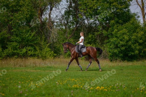 Preview: Portrait Of A Beautiful Young Girl Rider And Her Brown Horse