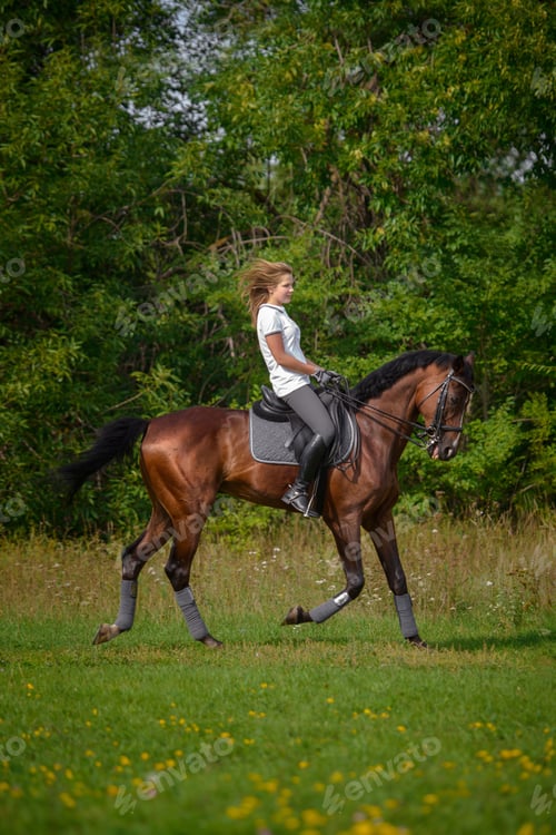 Preview: Portrait Of A Beautiful Young Girl Rider And Her Brown Horse