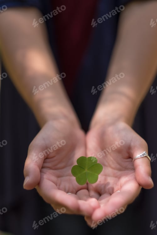 Preview: Clover In Female Hand In Sunny Spring Day. Blur Nature Background. Rim Light. Little Warm Tone