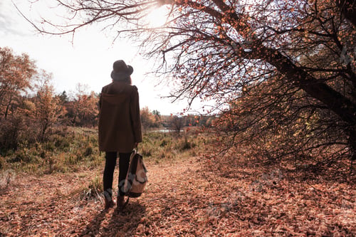 Preview: Autumn - Beautiful Girl At The Forest