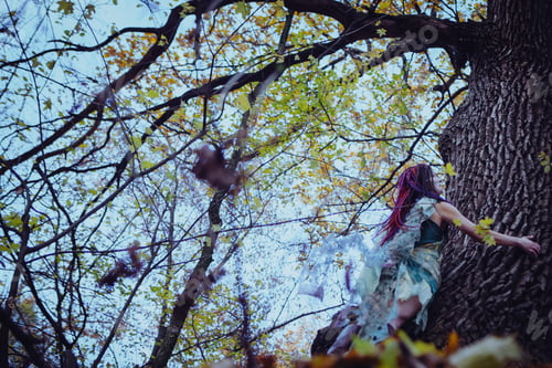 Preview: Elf Woman In A Magical Forest