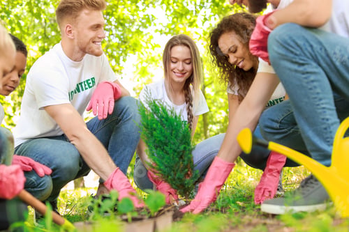 Preview: Volunteers Planting Tree In Park