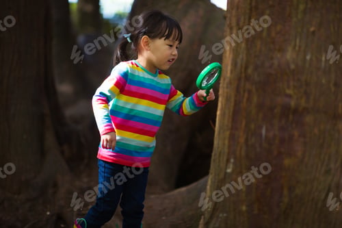 Preview: Young Girl Holding A Magnifier And Looking The Tree In The Summer Forest Morning