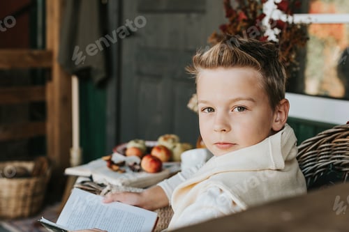 Preview: A Boy In Armchair Reading Book On The Porch On The Backyard With Autumn Decorations