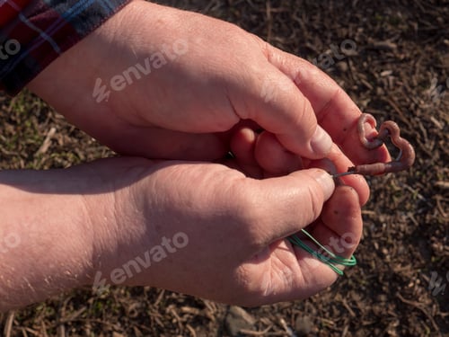 Preview: Close Up Men'S Hands Put Bait On Hook To Fish With Fishing Rod On Blurry Pastel Brown Background