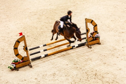 Preview: Equitation. Riding Competition. Show Jumping, Horse And Rider Over Jump