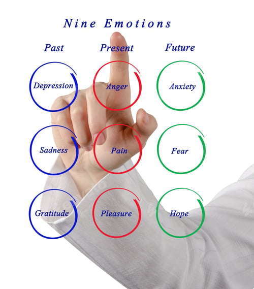Preview: Nine Emotions