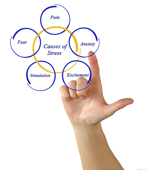 Preview: Causes Of Stress