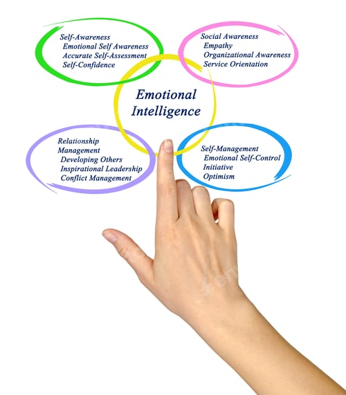 Preview: Emotional Intelligence