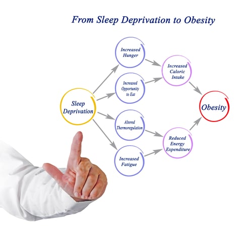 Preview: From Sleep Deprivation To Obesity