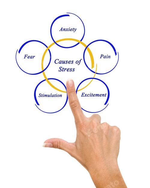 Preview: Causes Of Stress