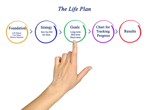 Preview: Components Of Life Plan