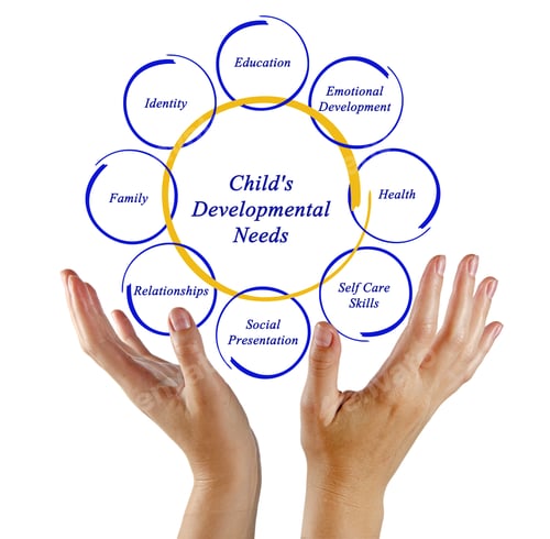 Preview: Diagram Of Child'S Developmental Needs