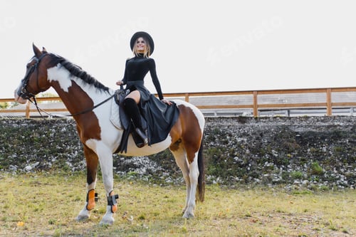 Preview: Fashionable Portrait Of A Beautiful Young Woman And Horse