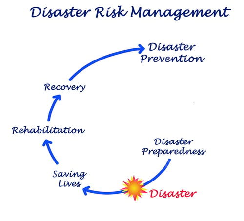 Preview: Disaster Risk Management