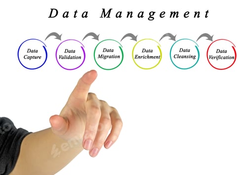 Preview: Process Of Data Management