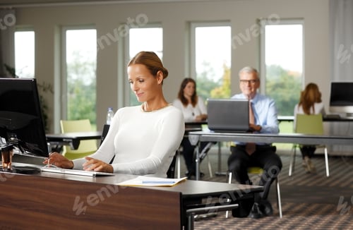 Preview: Business Woman Sitting In Front Of Computer While Working On Financial Plan.