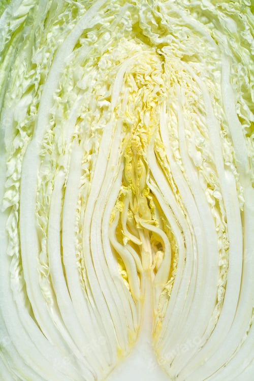 Preview: Macro Shot Of Halved Chinese Cabbage, Vegetable Texture Background.