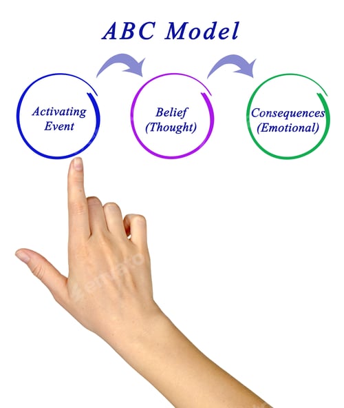 Preview: Components Of Abc Model