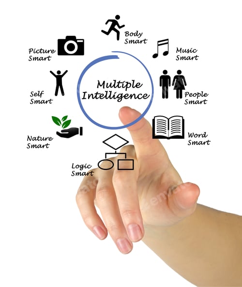 Preview: Components Of Multiple Intelligence