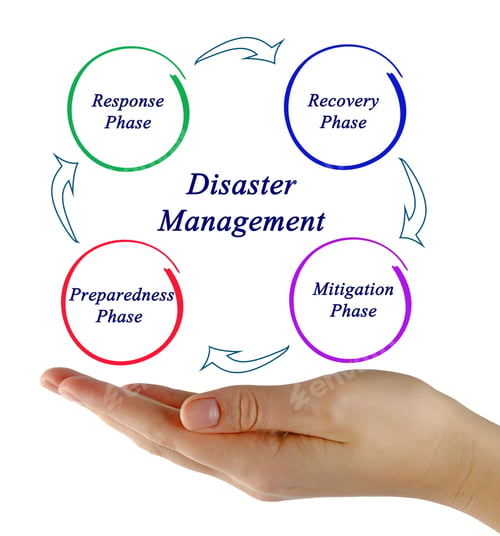 Preview: Presenting Disaster Management