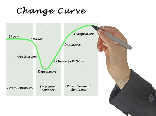 Preview: Change Curve