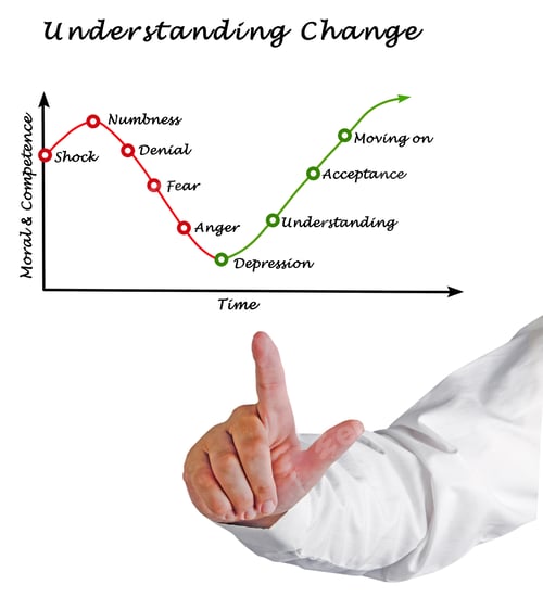 Preview: Understanding Change: From Shock To Move On