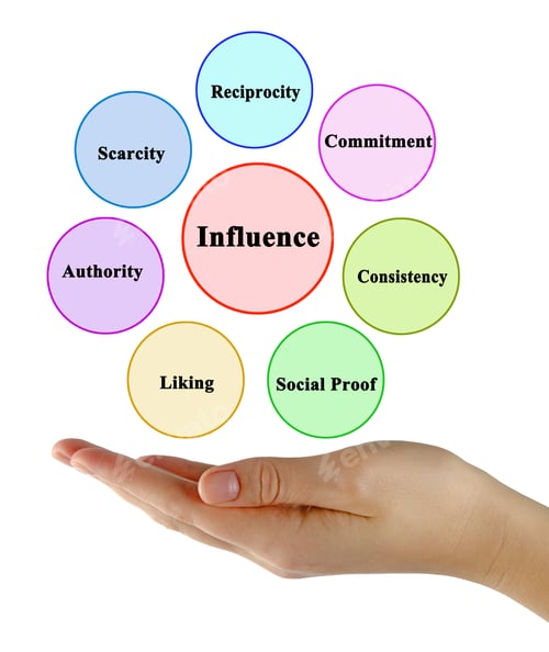 Preview: Factors Influencing Preference Of Person