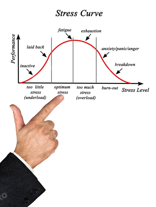 Preview: Presenting Stress And Performance Curve