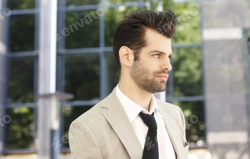 Preview: Executive Young Businessman Standing In Front Of Business Center.