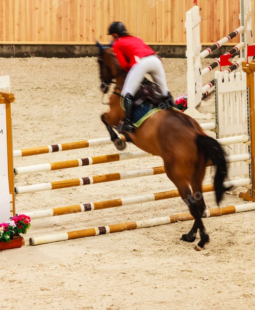 Preview: Equitation. Riding Competition. Show Jumping, Horse And Rider Over Jump