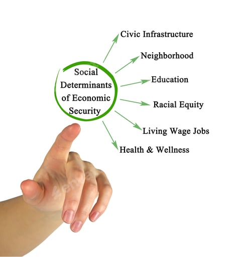 Preview: Social Determinants Of Economic Security