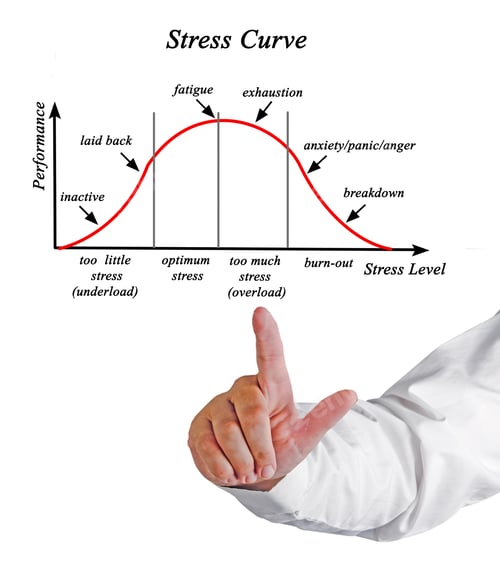 Preview: Stress And Performance Curve