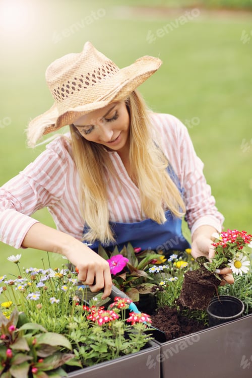 Preview: Woman Growing Flowers Outside In Summer