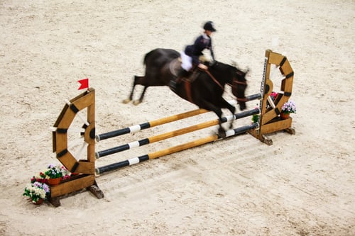 Preview: Equitation. Black Horse With Male Rider Equestrian Man Jumping Over Obstacle. Riding Competition