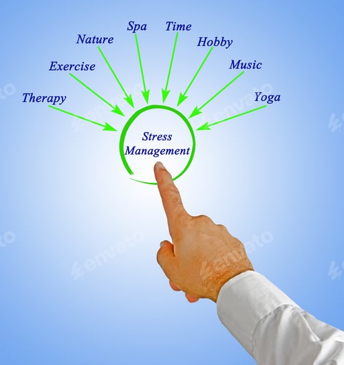 Preview: Diagram Of Stress Management