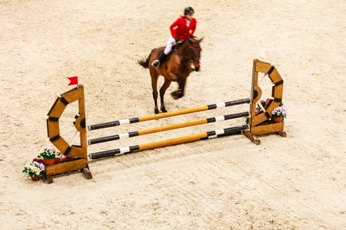 Preview: Equitation. Riding Competition. Show Jumping, Horse And Rider Over Jump