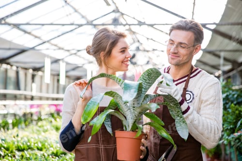 Preview: Cheerful Woman Florist And Man Gardener Taking Care Of Beautiful Flower In Pot In Greenhouse