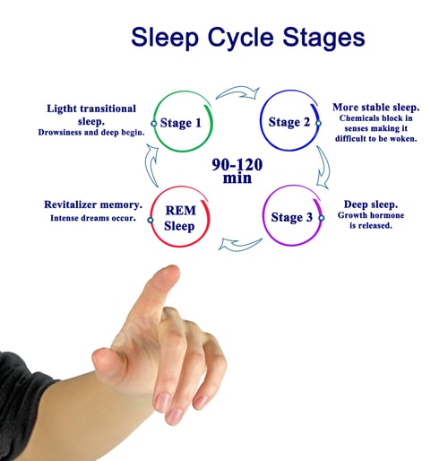 Preview: Woman Presenting Sleep Cycle Stages