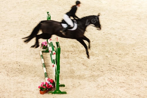 Preview: Equitation. Riding Competition. Show Jumping, Horse And Rider Over Jump