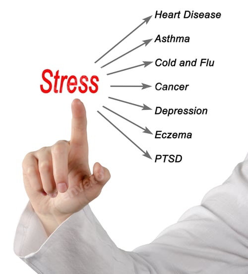Preview: Stress Consequences