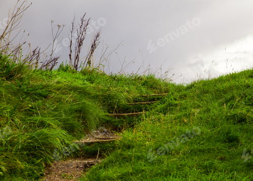 Preview: Outdoors Step Up Grassy Hillside