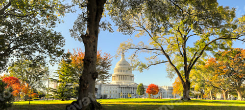 Preview: The United States Capitol Building In Washington, Dc.