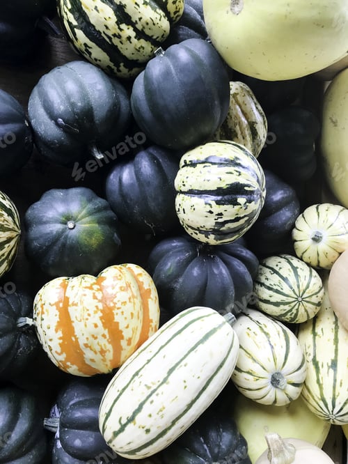 Preview: Fresh From The Garden, Vegetables On The Farm Market Natural Local Products, Some Of The Different