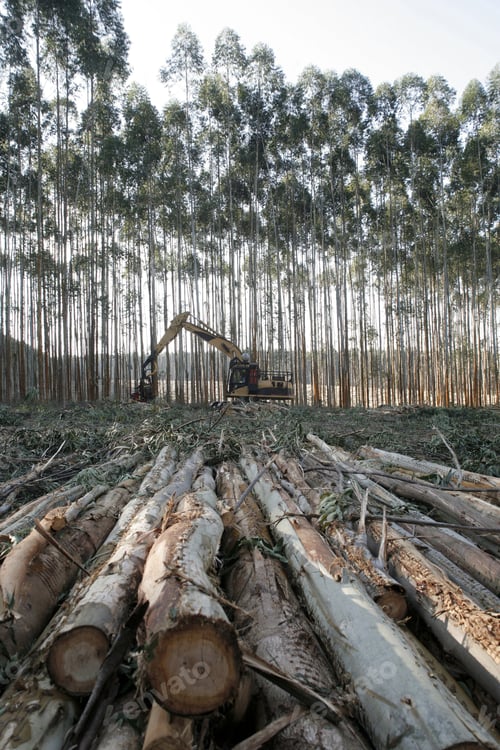Preview: Logging Equipment