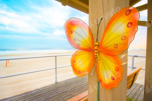 Preview: Decorative Butterfly Along Beach In The Summer