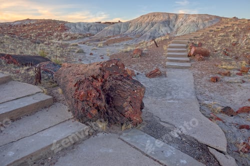 Preview: The Giant Petrified Logs Of Petrified Forest National Park. These Are Located Along A Trail Behind