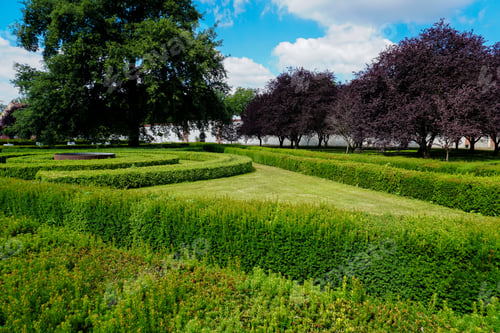 Preview: Trimmed Green Bushes And Trees With Blue Sky In Background. Concept Of Landscape Design In Europe.